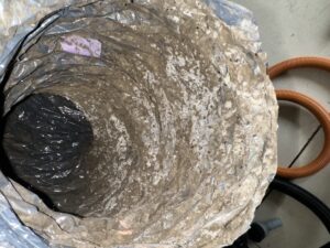  Extensive mold growth covering the interior of ductwork, showing thick layers of mold along the duct lining.