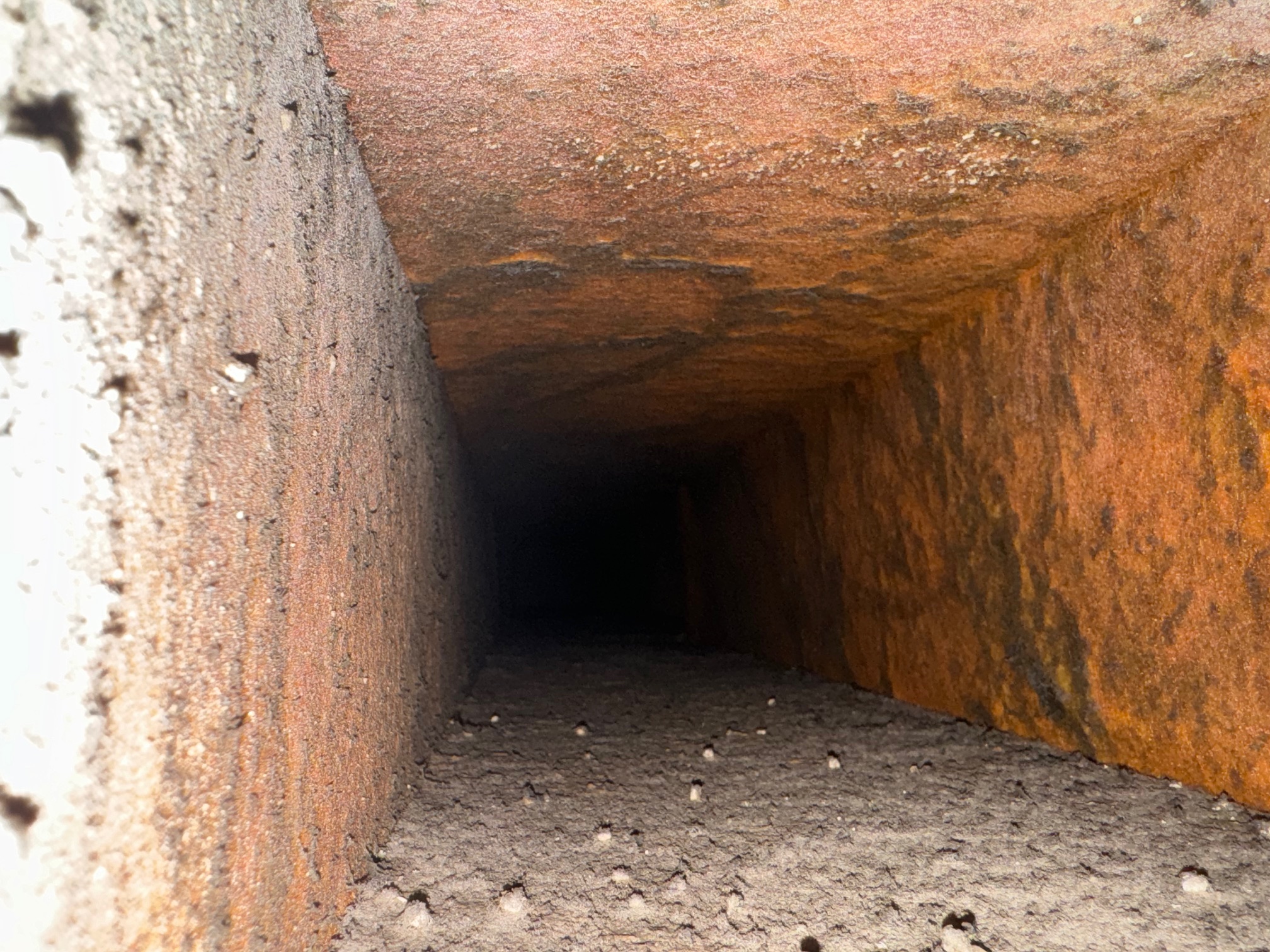 Interior of an air supply plenum showing visible dust and mold accumulation on its surfaces.