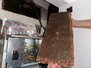 A technician holds a piece of fiberglass insulation with visible mold growth. The insulation, removed from an HVAC or ventilation system, shows signs of contamination, with dark spots indicating mold. Wiring and ductwork are visible in the background.