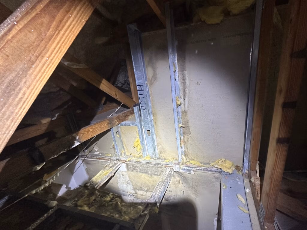 Attic framing and insulation with visible signs of moisture intrusion and possible mold contamination.
