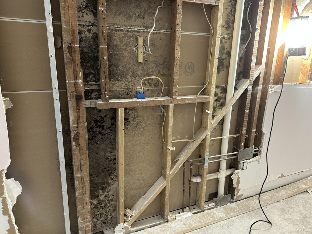 Exposed wall with mold growth and structural damage during remediation process