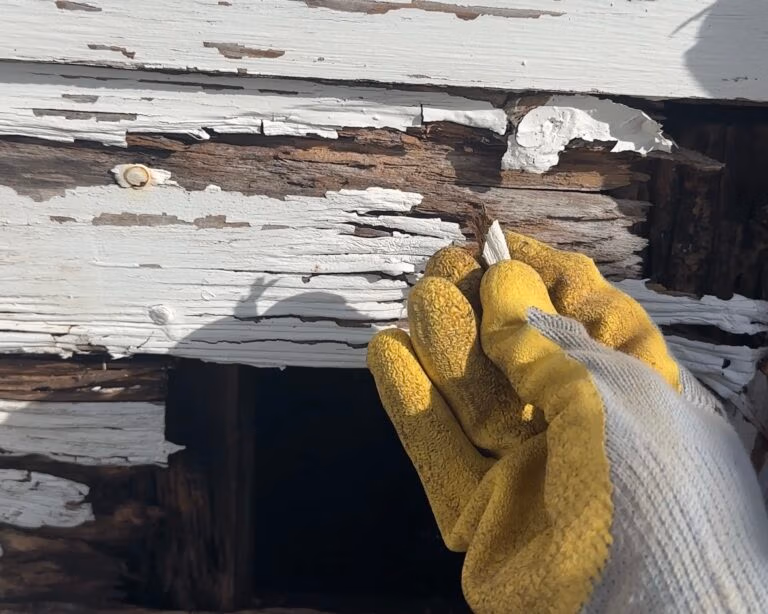 Gloved hand scraping deteriorated lead-based paint from old wooden exterior siding.
