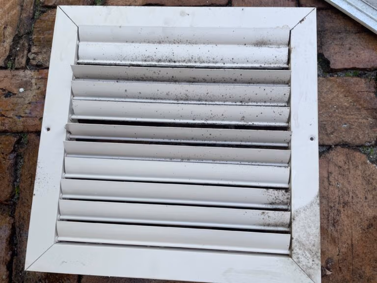surface mold growth on vent
