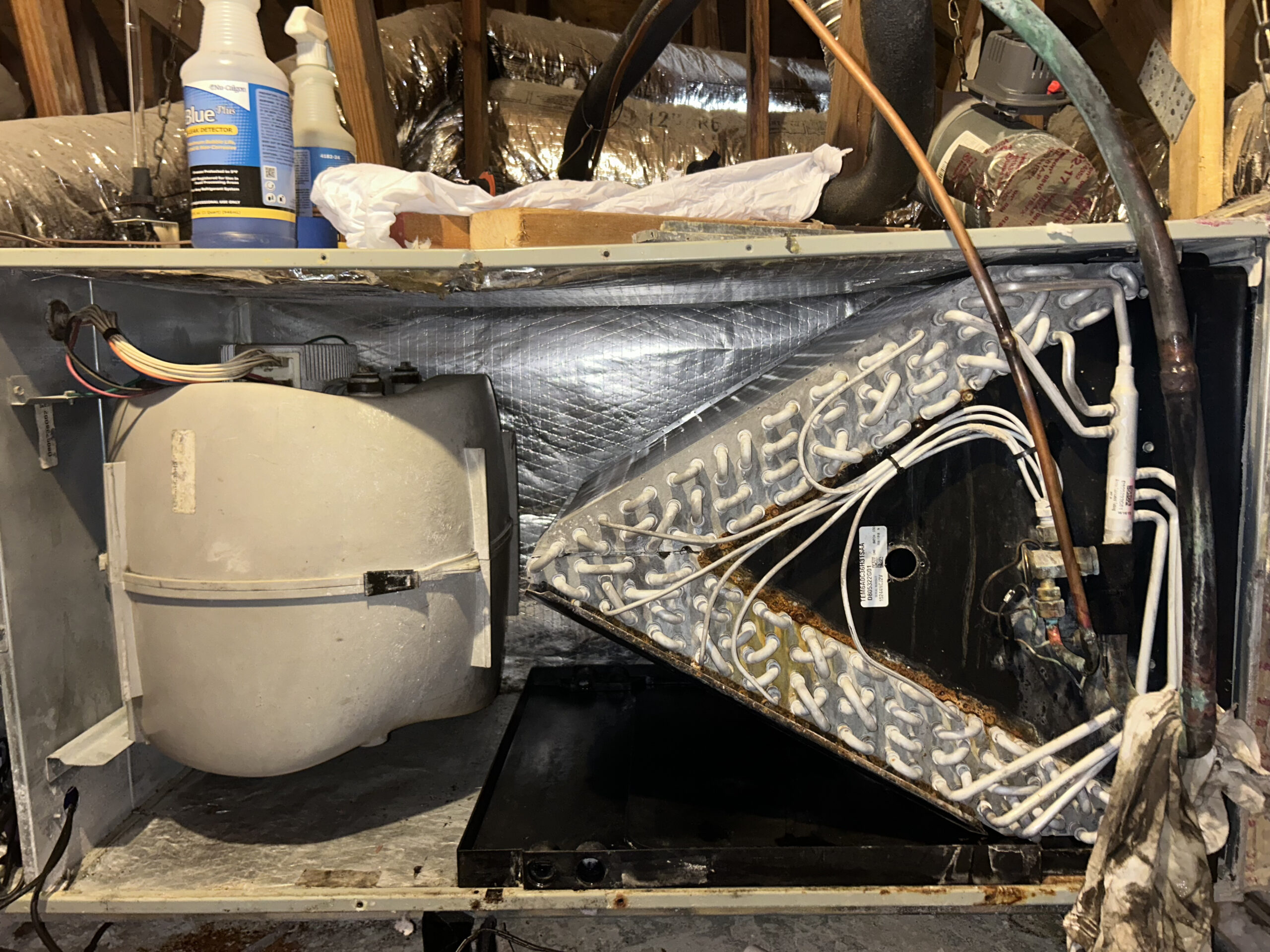 Post-cleaning HVAC coil and blower wheel assembly in a commercial air handler unit, showing restored cleanliness.