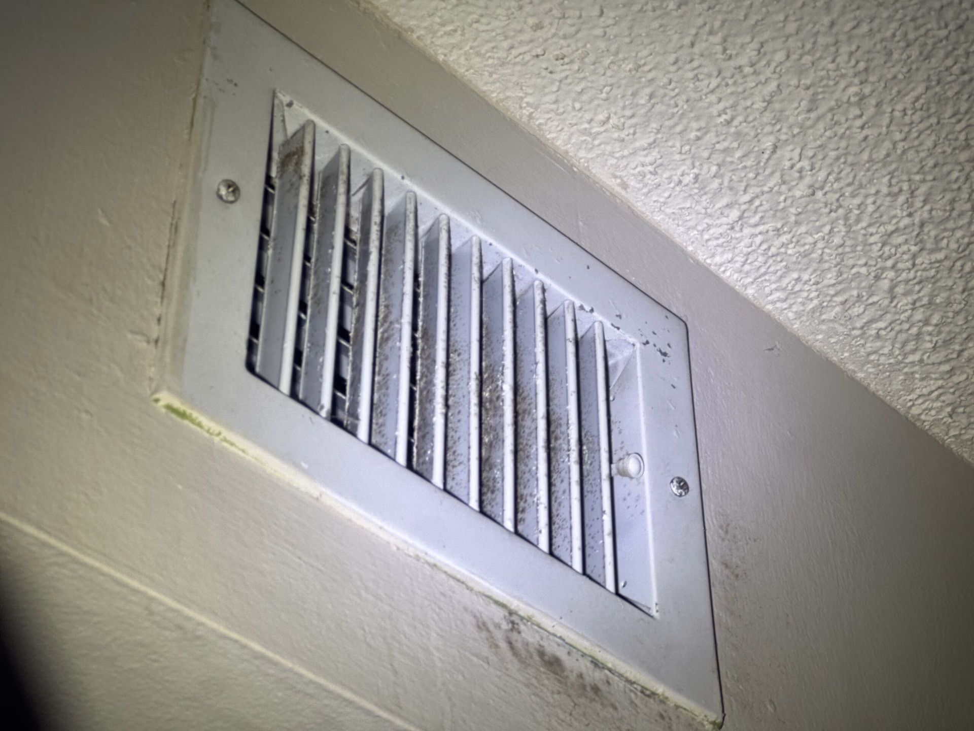 Moldy vent in a residential home in pbc.
