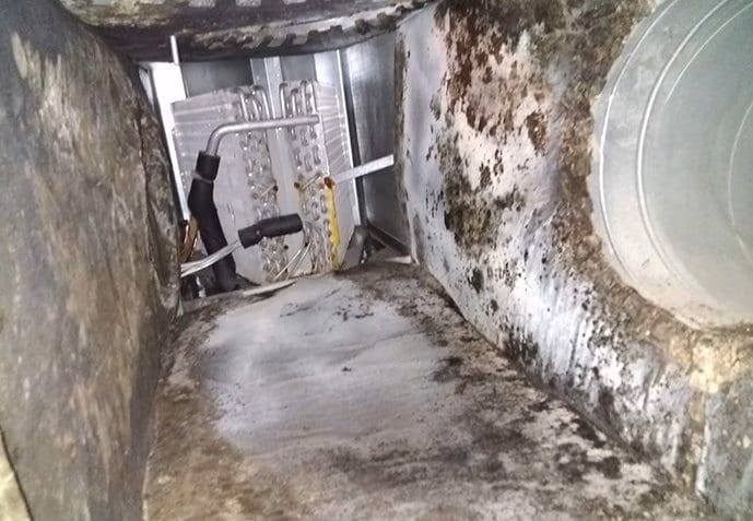 Black Mold in Air Handler: Warning Signs and Solutions